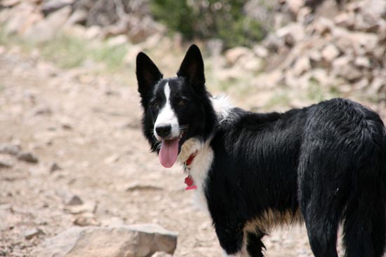 2008 White Family Reunion at Big Rock Candy Mountain, Utah